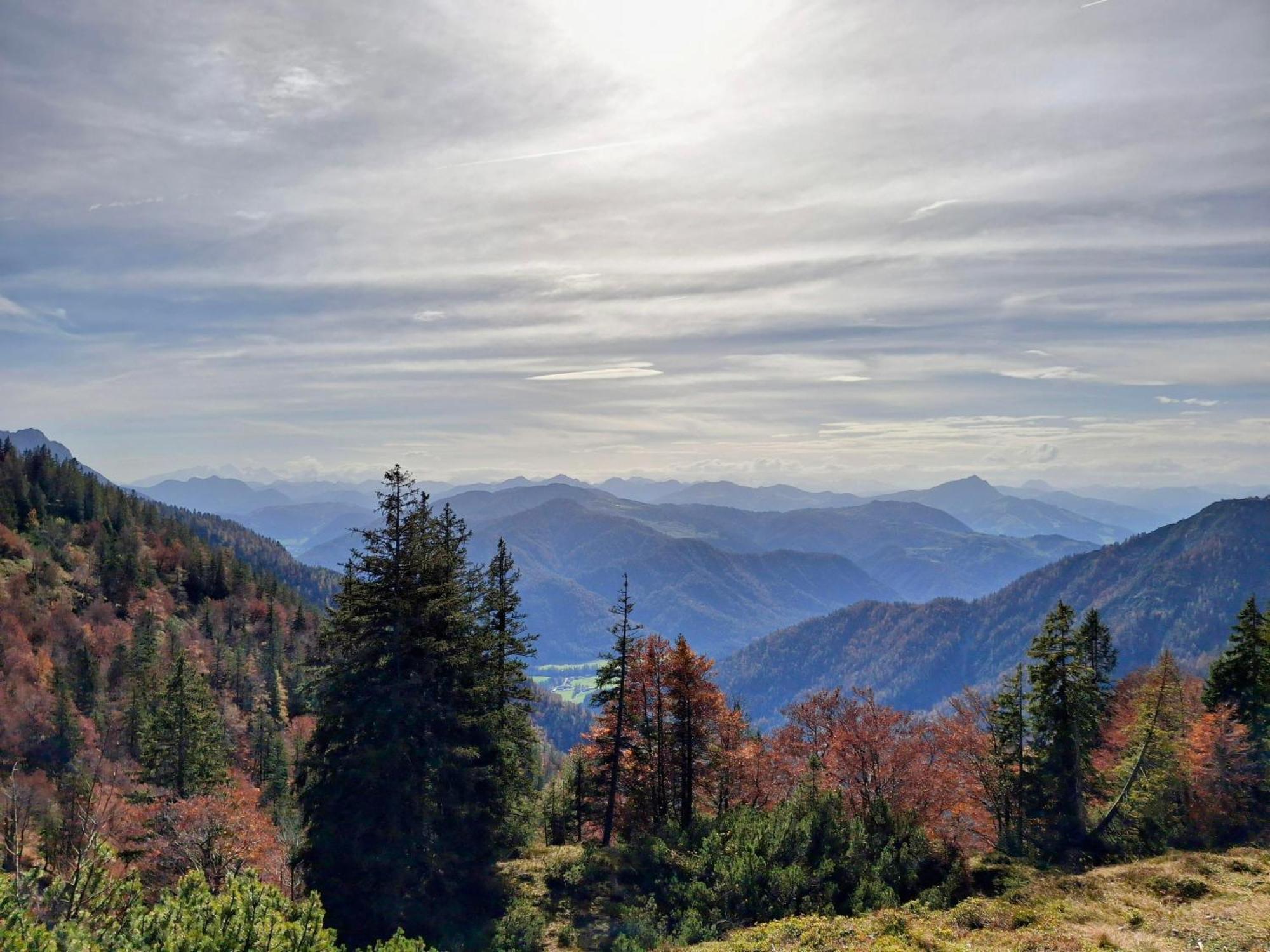 Lampererhof Sankt Johann in Tirol Exterior foto