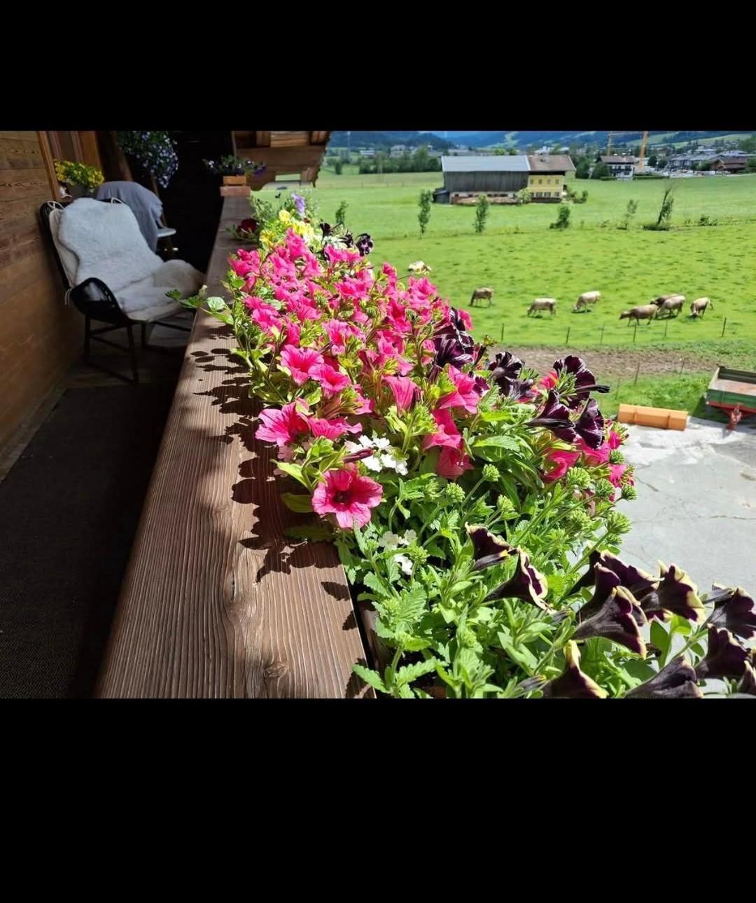 Lampererhof Sankt Johann in Tirol Exterior foto