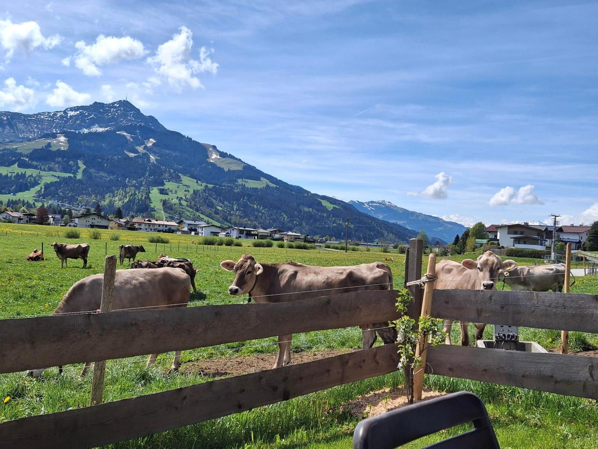 Lampererhof Sankt Johann in Tirol Exterior foto