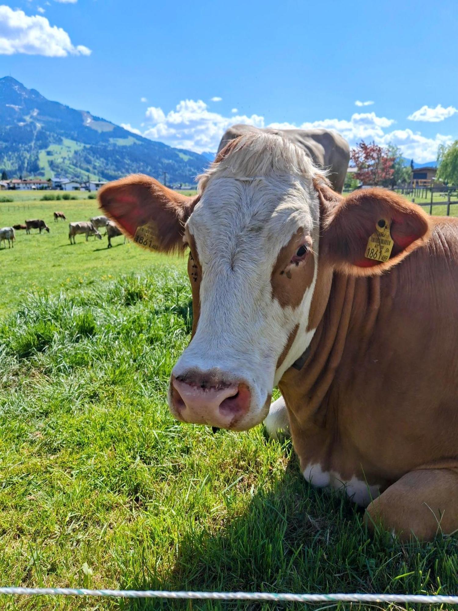 Lampererhof Sankt Johann in Tirol Exterior foto