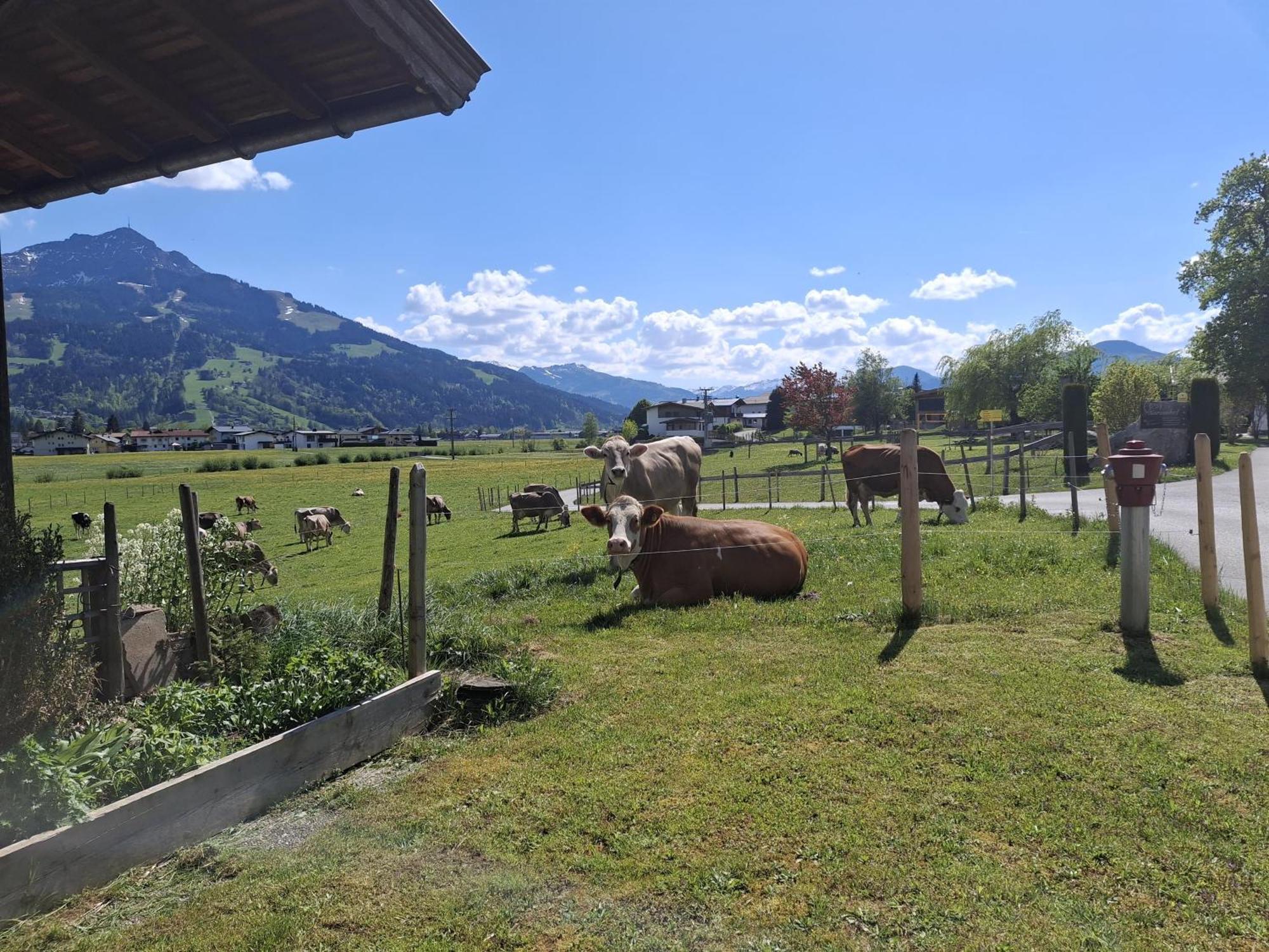 Lampererhof Sankt Johann in Tirol Exterior foto
