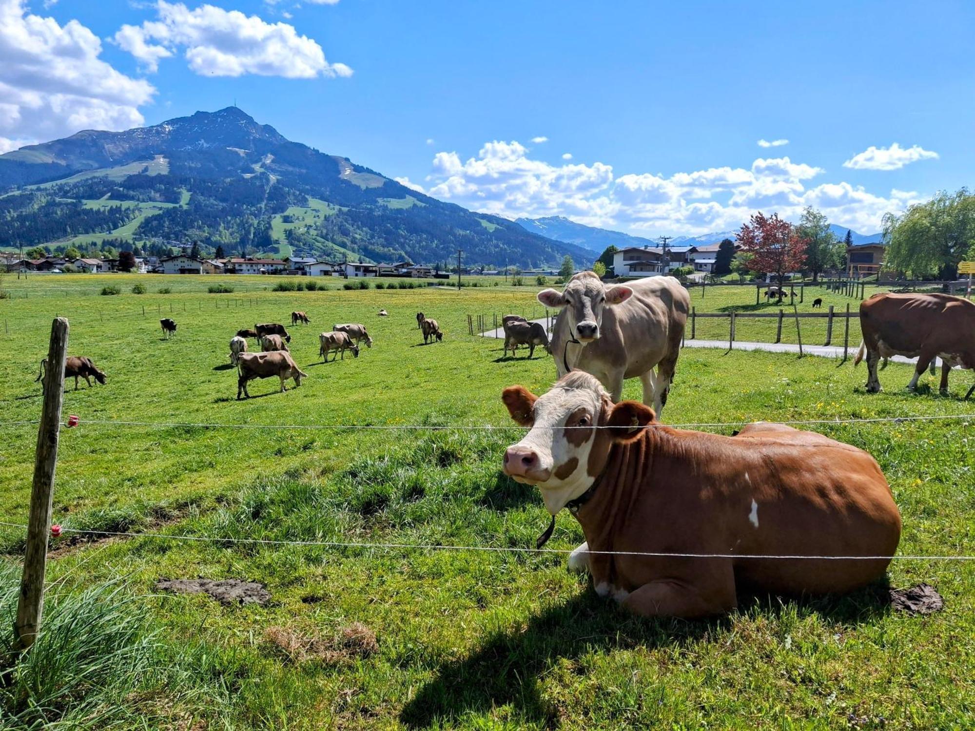 Lampererhof Sankt Johann in Tirol Exterior foto