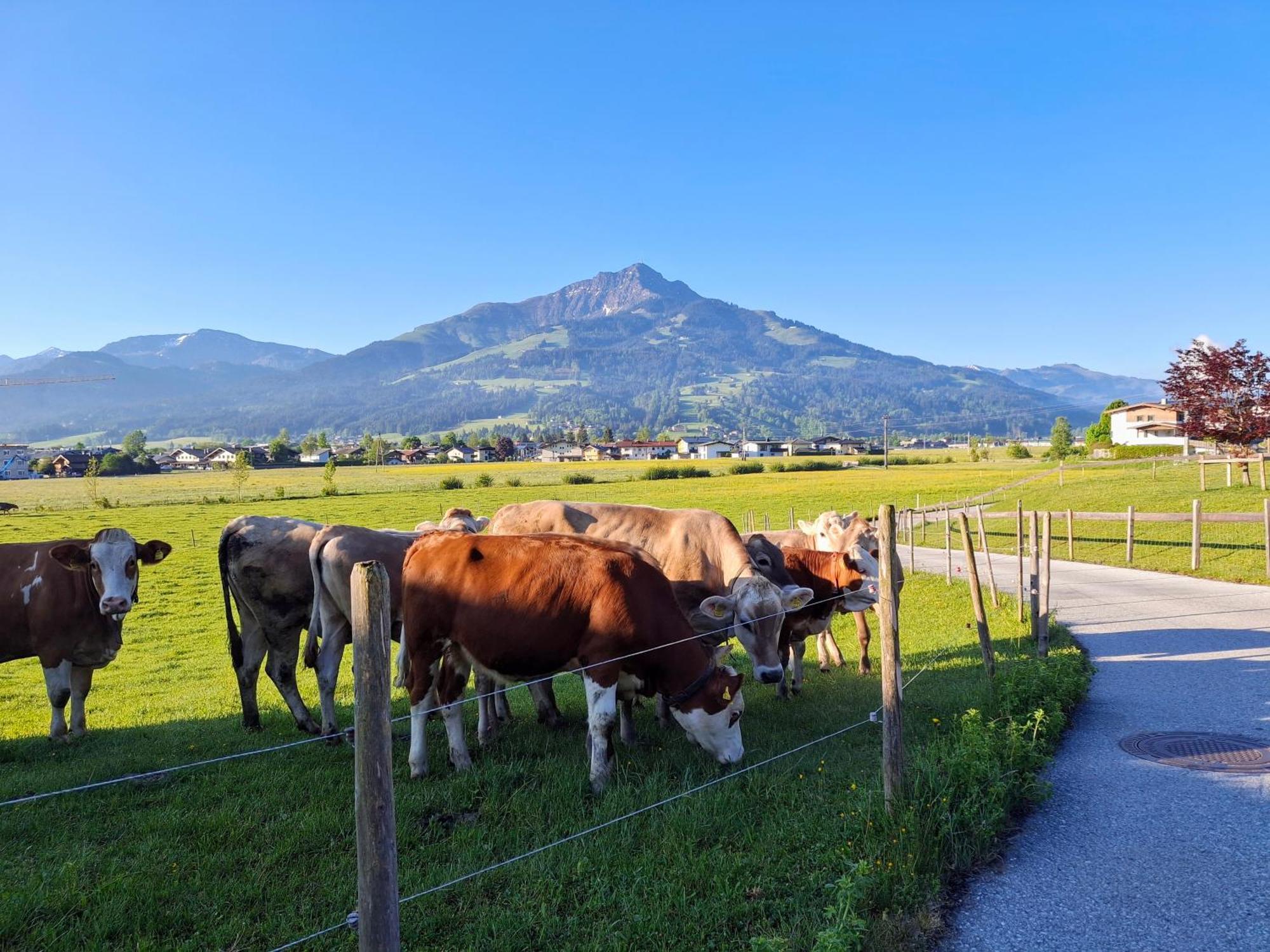 Lampererhof Sankt Johann in Tirol Exterior foto